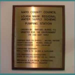 Water plant 004.jpg